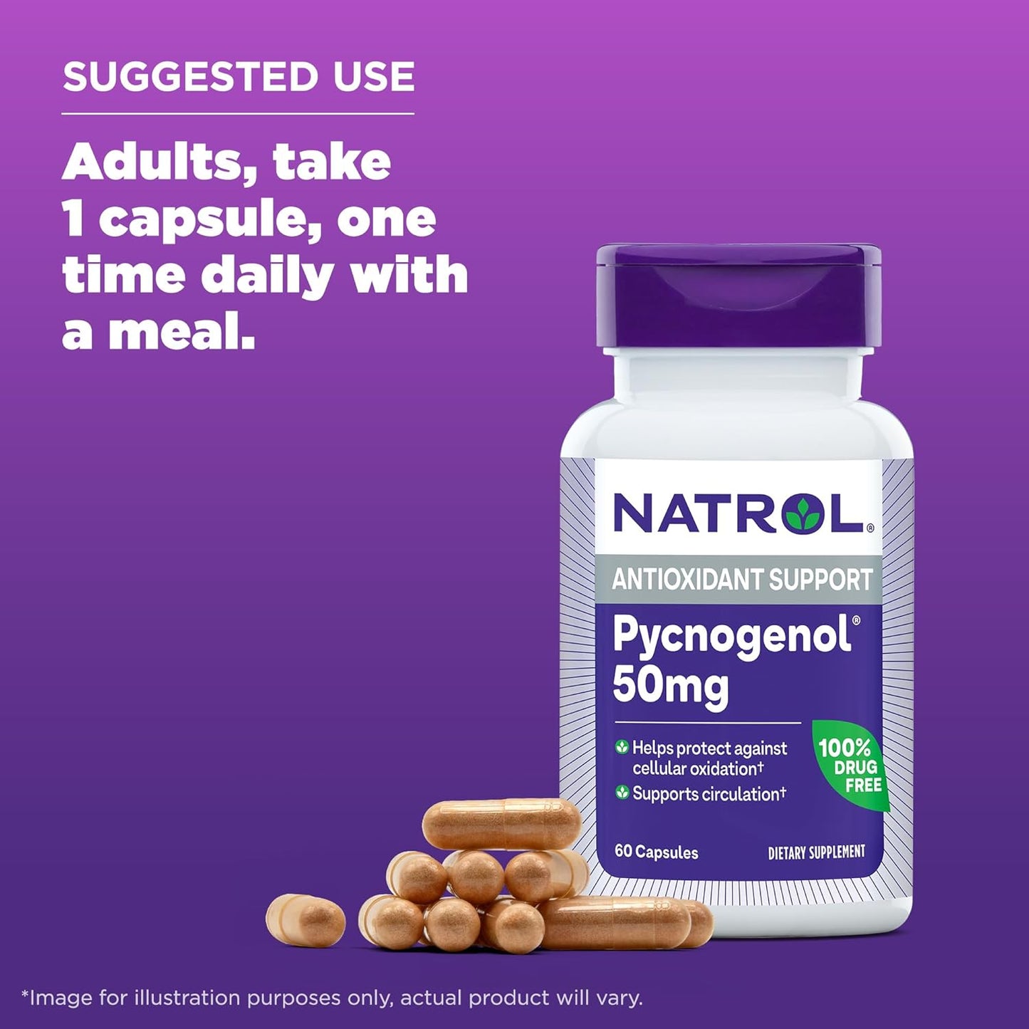 Natrol Pycnogenol 50mg 60 Capsules – Antioxidant, Pine Bark Extract